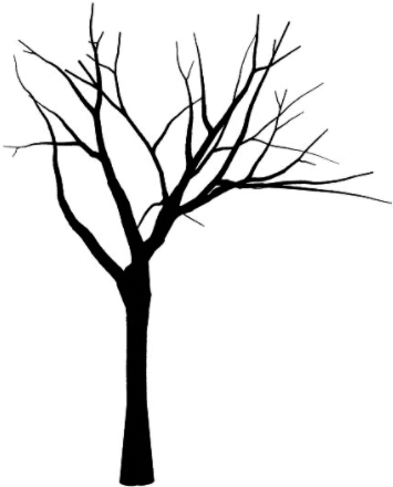 black tree