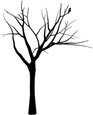 black tree