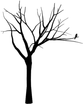 black tree